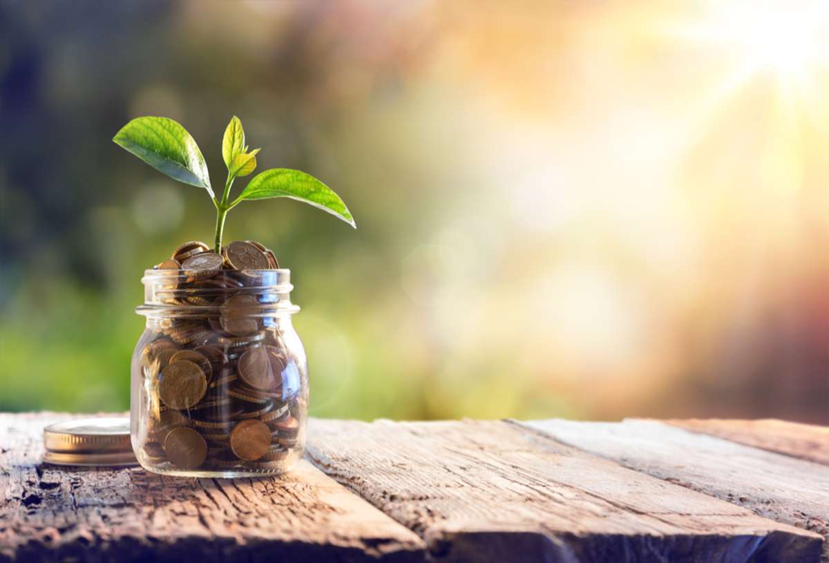 A plant growing in a jar of coins, portfolio growth with rental management Indianapolis offers