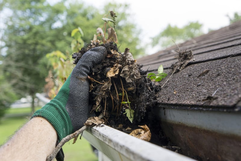 Cleaning the gutters of a rental home, summer property maintenance concept