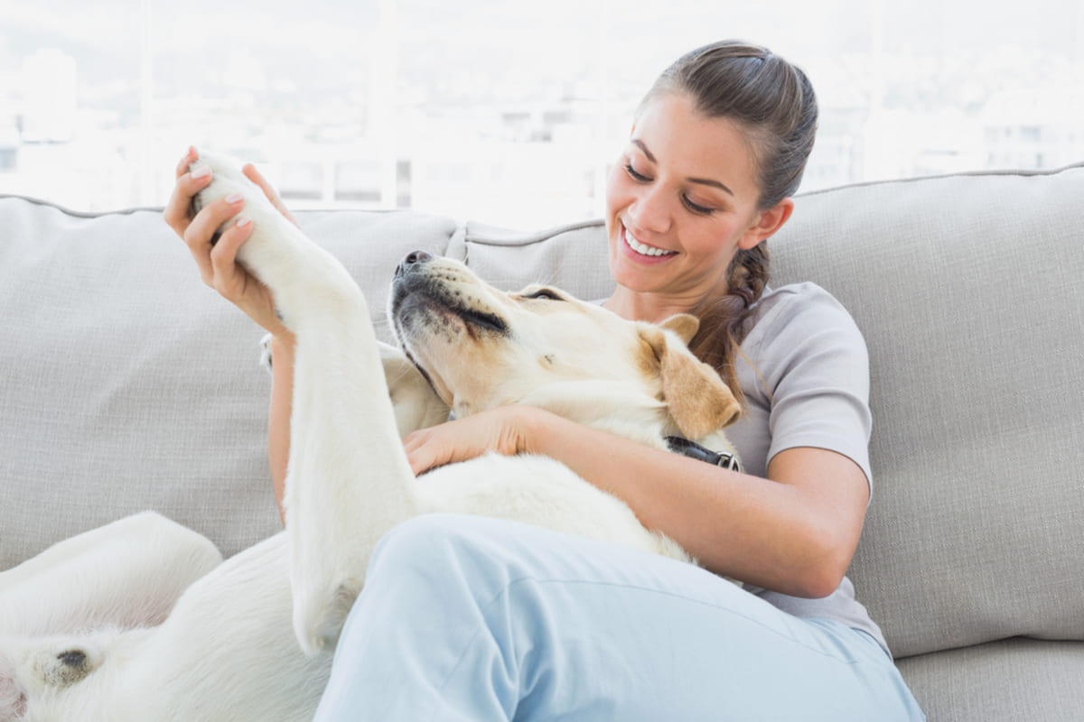 A woman sitting at home petting a big dog, pets in rental property concept. 
